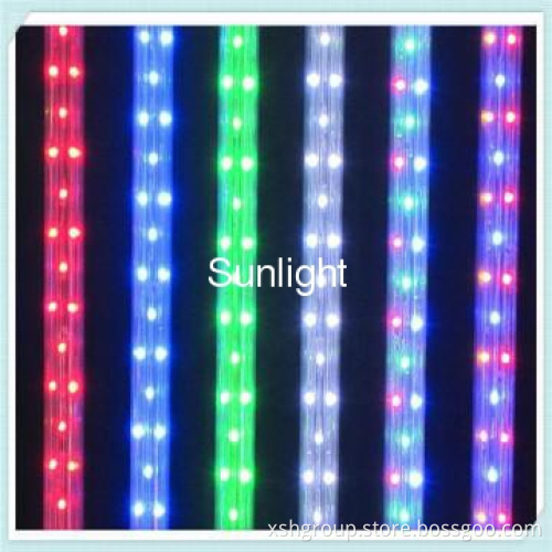 1.44w/m silm Flat Profile single color LED Blue rope light